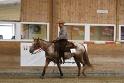 Reining_111