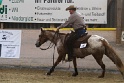 Reining_113