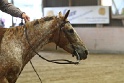 Reining_117