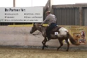 Reining_118