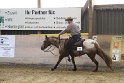 Reining_119