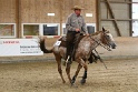 Reining_123