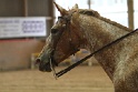 Reining_131