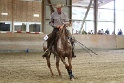 Reining_132