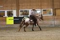 Reining_140