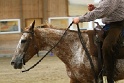 Reining_141
