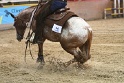Reining_142