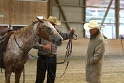 Reining_144