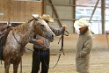 Reining_145