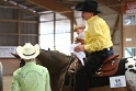 Reining_150