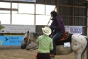 Reining_156