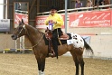 Reining_160