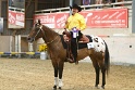Reining_161