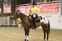 Reining_162