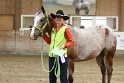 Reining_166