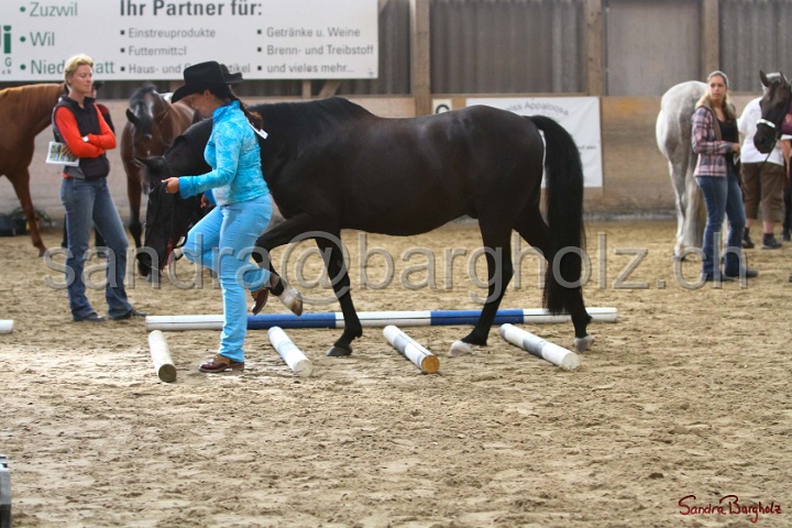 02-OIHT_005.jpg