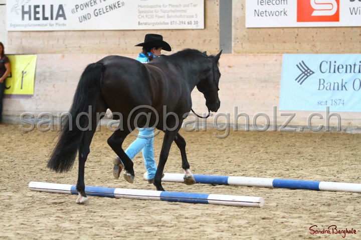 02-OIHT_007.jpg
