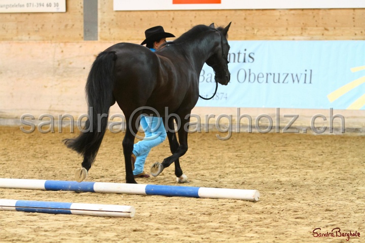 02-OIHT_008.jpg
