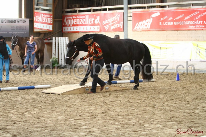 02-OIHT_015.jpg