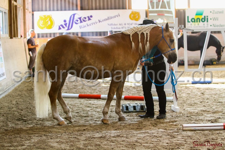 02-OIHT_030.jpg