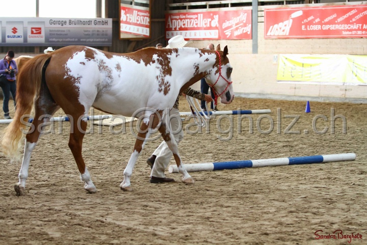 02-OIHT_060.jpg