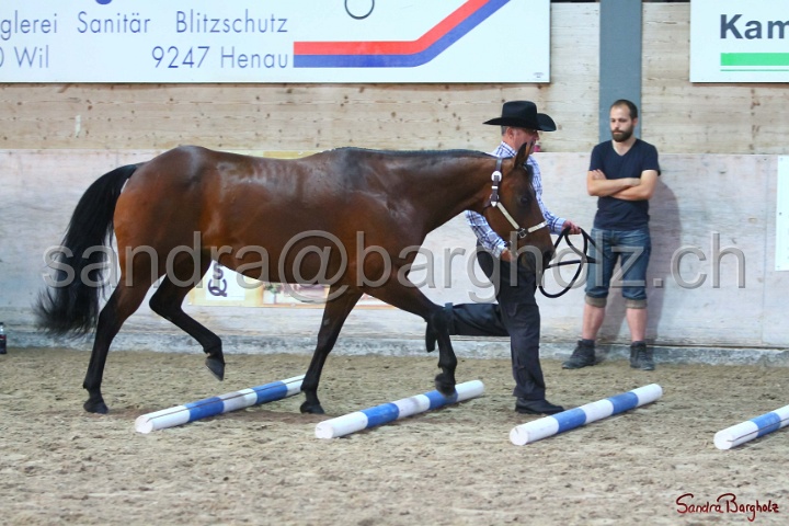 02-OIHT_128.jpg