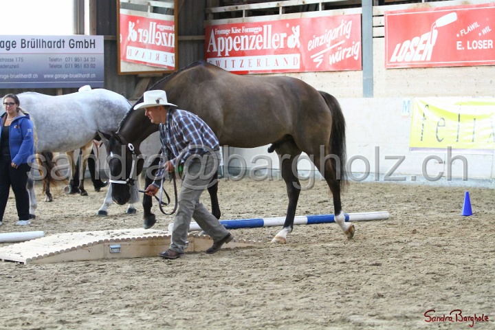 02-OIHT_133.jpg