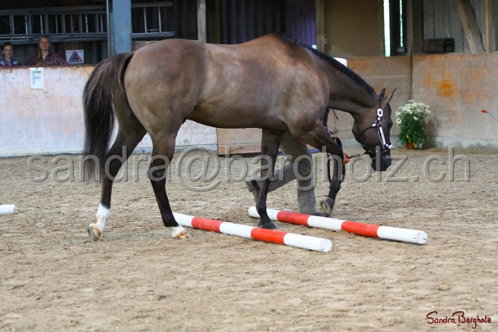 02-OIHT_142.jpg
