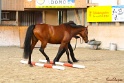 02-OIHT_048