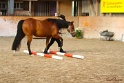 02-OIHT_103