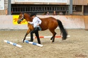 02-OIHT_105