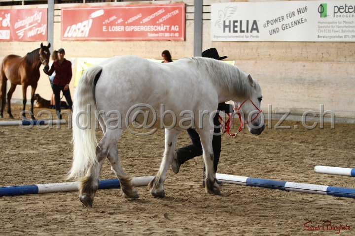 03-OKV-TIH_009.jpg