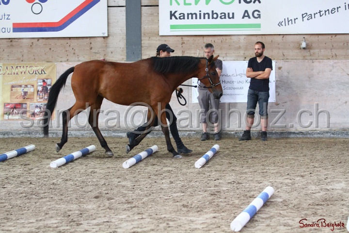 03-OKV-TIH_038.jpg