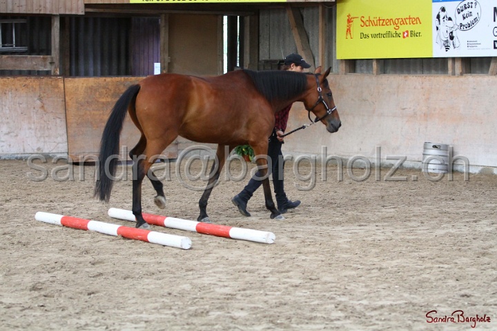03-OKV-TIH_040.jpg