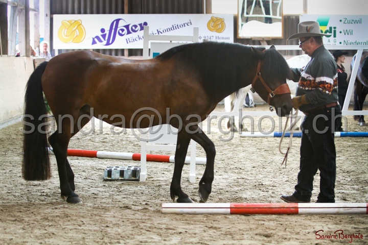 03-OKV-TIH_051.jpg