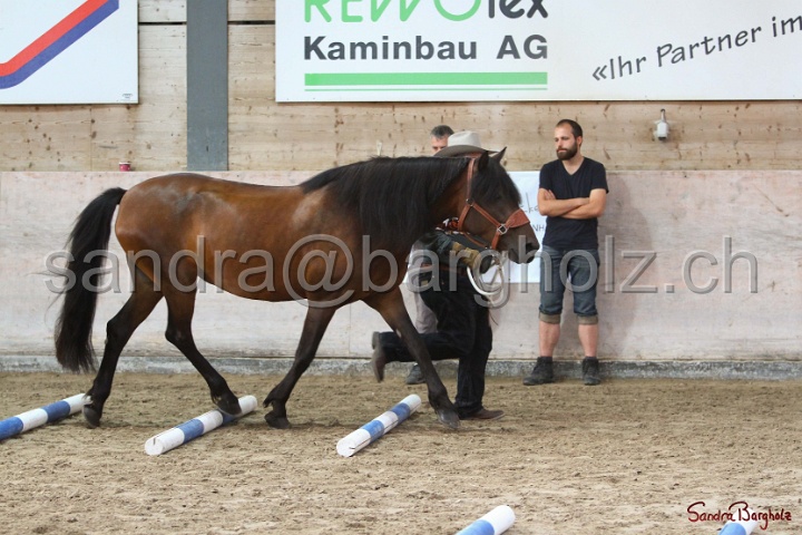 03-OKV-TIH_056.jpg
