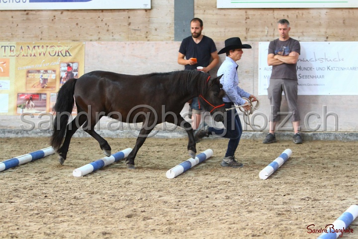 03-OKV-TIH_101.jpg