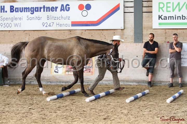 03-OKV-TIH_120.jpg