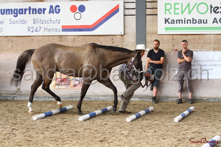 03-OKV-TIH_122.jpg