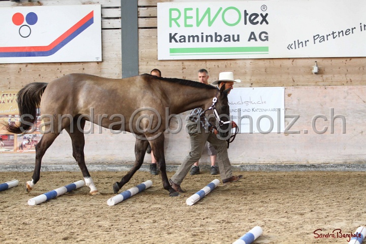 03-OKV-TIH_123.jpg