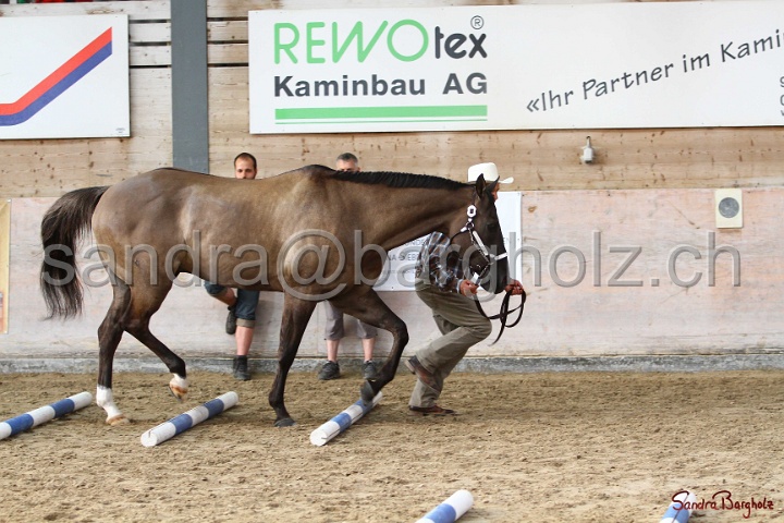 03-OKV-TIH_125.jpg