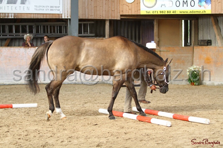 03-OKV-TIH_127.jpg
