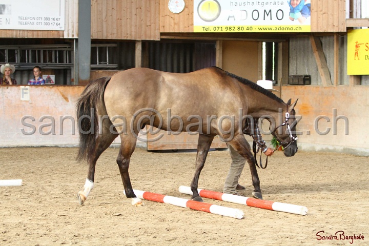 03-OKV-TIH_128.jpg