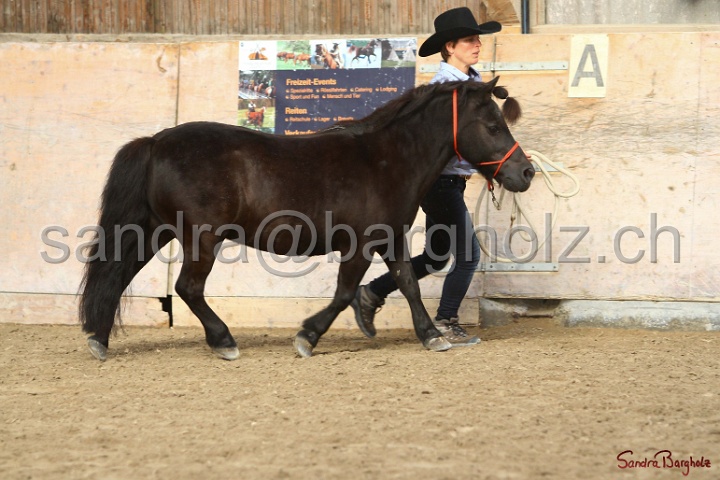 03-OKV-TIH_154.jpg