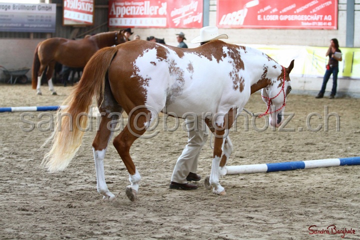 03-OKV-TIH_173.jpg