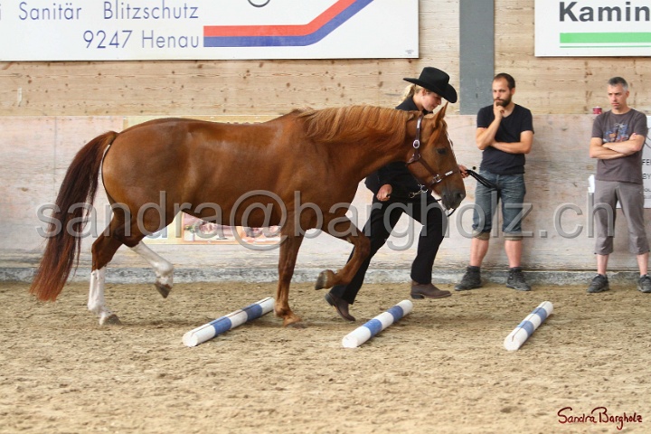 03-OKV-TIH_200.jpg
