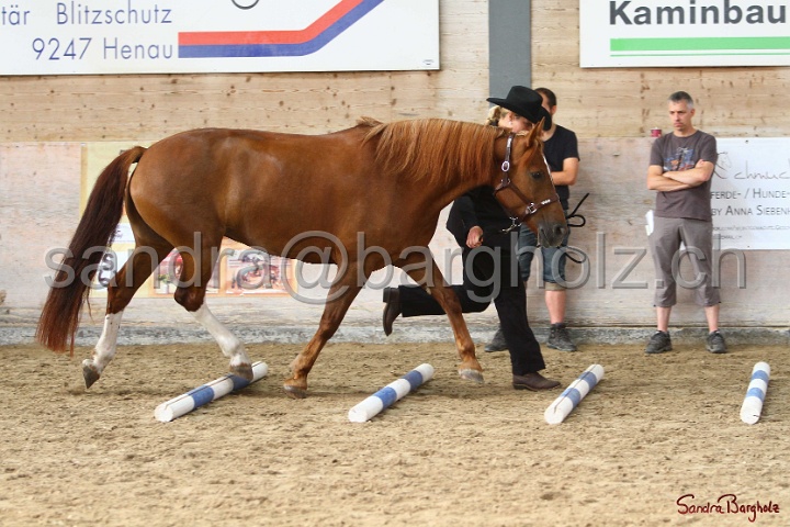 03-OKV-TIH_201.jpg