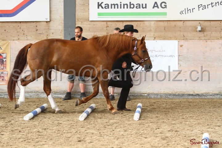03-OKV-TIH_203.jpg