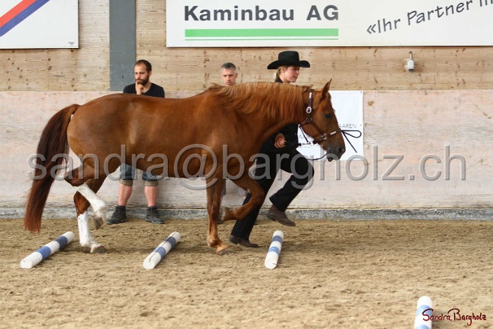 03-OKV-TIH_204.jpg