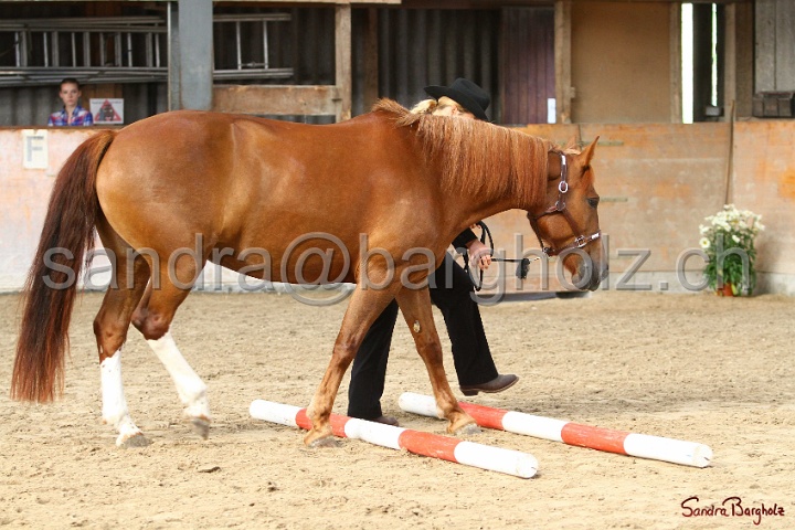 03-OKV-TIH_206.jpg